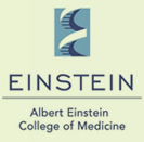 Albert Einstein College of Medicine | Doctor Vahdat